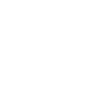 logo__women-lawyers-on-guard-white_logo__v1
